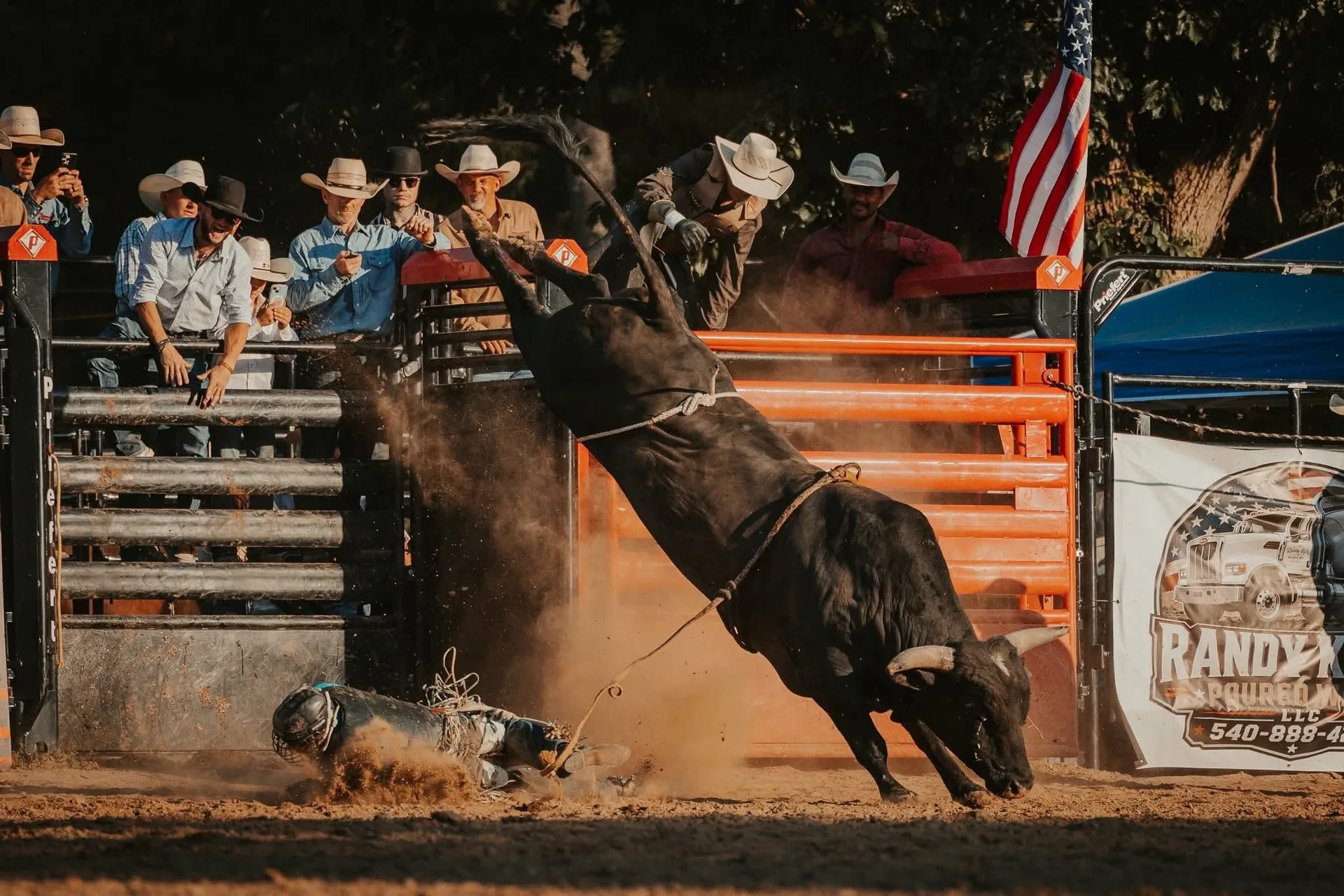 Bucking bull at Tumbling Run Ranch